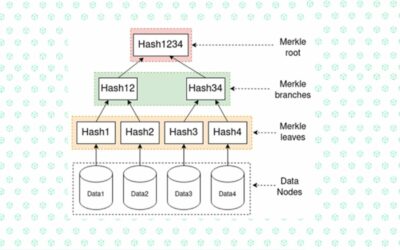 Cosa sono gli Alberi di Merkle?